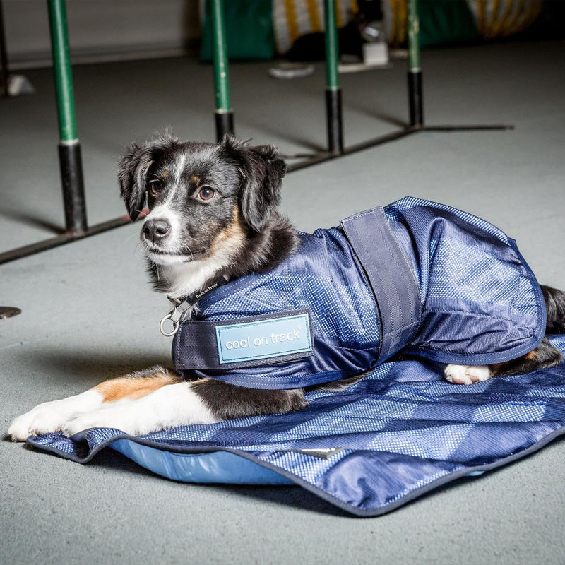 Back on Track Cool on Track Cooling Dog Coat (S2, 40cm / 14-16.5")