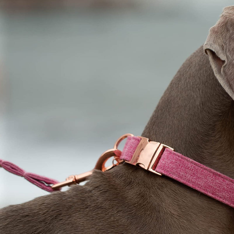 DOGWONG Cotton Dog Collar and Leash Pink Pet Collar Soft Durable Puppy Collar for Small Medium Large Girl Dogs L - PawsPlanet Australia