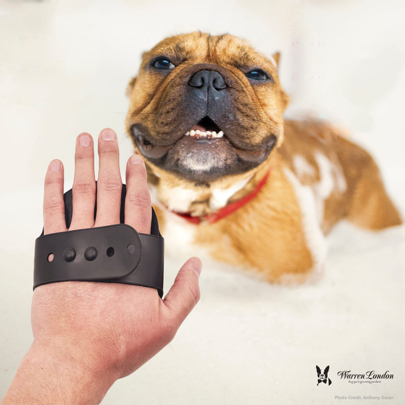 Warren London Grooming Bath Brush for Dogs and Cats | Applicator for Dog Shampoo, Hydrating Butter, or Pet Leave In Conditioner | Black - PawsPlanet Australia