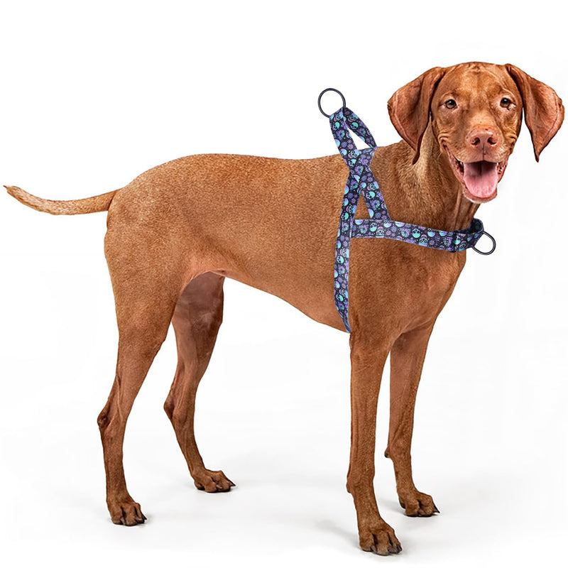 Serijoars No Pull Dog Harness - Easy Walk for Small, Medium, and Large Pets - Floral Pattern Female Safety Nylon Training Dog Harness - Flowers Design - Large Medium Small (Skull, M) Skull - PawsPlanet Australia