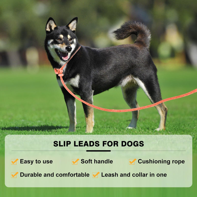 Lynxking Dog Leash Slip Lead Reflective Breathable Rope Comfortable Strong No Pull Slip On Pet Training Lead for Dogs Small 3/8 inch x 6ft Orange - PawsPlanet Australia