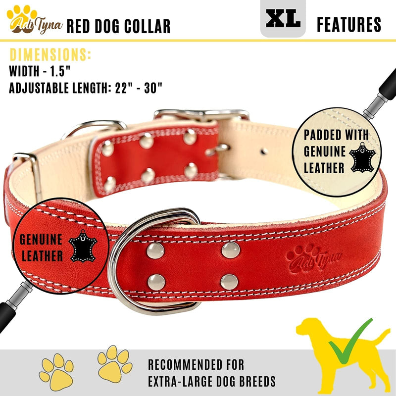 ADITYNA Heavy-Duty Leather Dog Collar for Extra-Large Dogs - Soft Padded for Comfort - XL Dog Collar for Walking, Training, and Hiking Red Extra-Large: Fit 22-30" Neck - PawsPlanet Australia