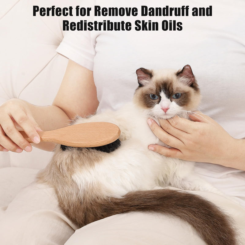 Boar Bristle Cat Brush with Wooden Handle, Soft and Gentle, Reduce Shedding, Make Coat Soft, Smooth and Shinny, Daily Grooming Tool for Short Haired Cats, Kitten Wood - PawsPlanet Australia