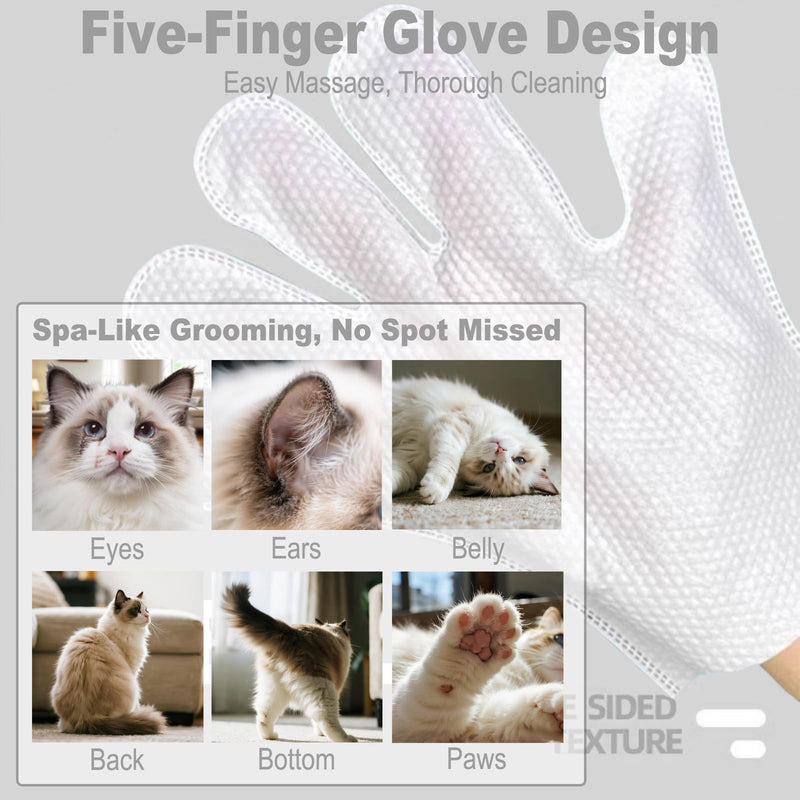 Mr Hsiung & Mrs Yin Pet Glove Wipes for Dogs & Cats (6-Count) - Hypoallergenic Cat Cleaning Wipes, Water-Based & Fragrance-Free Pet Wipes for Gentle Cleaning of Paws, Body & Fur - PawsPlanet Australia