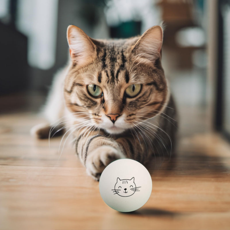 Cat Ball Toys - 6 Pack Ping Pong Balls for Cats, Cat Enrichment Toy, Cat Lovers Gift Ideas, Cat Ball Pits, Cat Mom, Bouncy Balls - PawsPlanet Australia