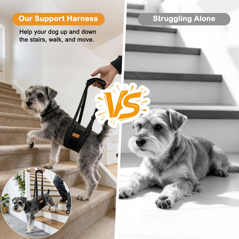 Vivifying Dog Lift Harness for Small Dogs, Soft Flannel Rear Leg Support Sling, Adjustable Dog Lifting Harness for Weak Back Legs, Senior Injured Disabled Dogs, ACL Surgery Mobility Assist, S, Gray