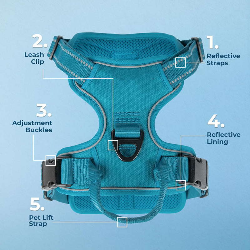 Voyager Dog Harness Dual Leash Attachment No-Pull Control Adjustable Soft but Strong Pet Harness for Medium and Large Dogs with 3M Reflective Technology - Turquoise, M (Chest: 20 - 25") M (Chest: 20 - 25") Harness (Turquoise Nylon)