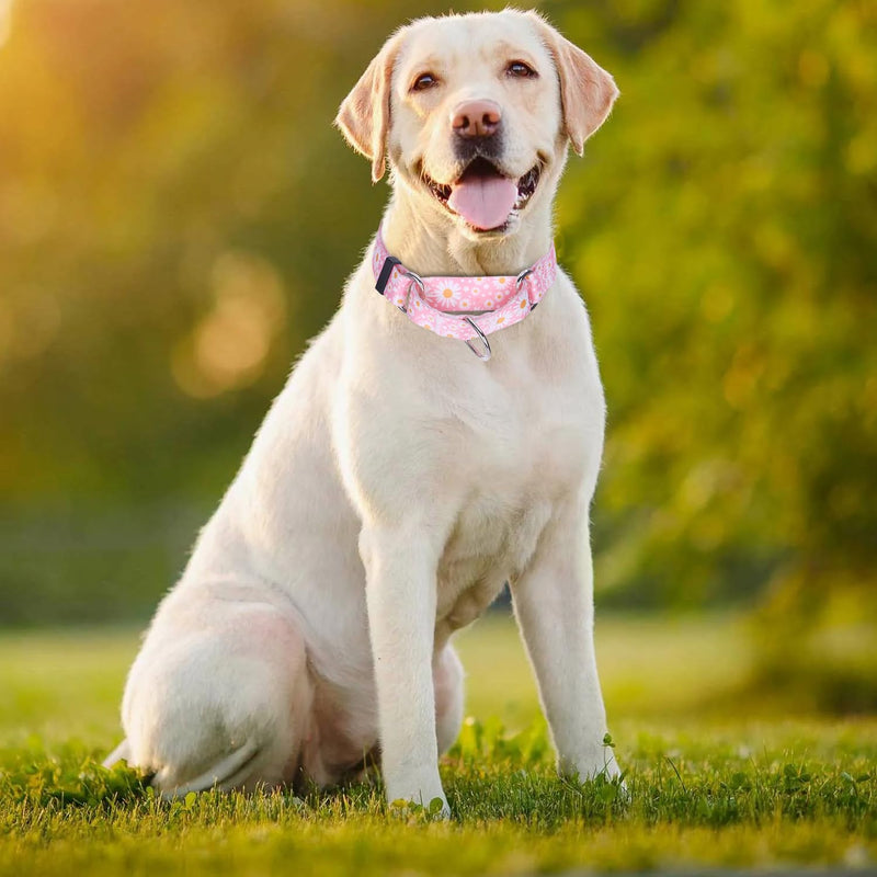 Martingale Collar for Dogs, No-Slip Escape Proof Choke No Pull Cinch Soft Nylon Dog Training Collars Adjustable for Small Medium Large Breed Pet Dogs, Pink Daisy M 8 - PawsPlanet Australia