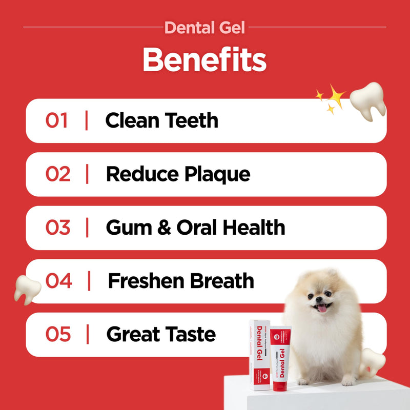 JAYU PET Edge Bristles Tooth Brushing Kit - Dental Gel 1ea + Dental Care Brush 1ea | Teeth Cleaning & Breath Freshener, Removing Plaque and Tartar, Pet Dental Hygiene, Easy Teeth Brushing