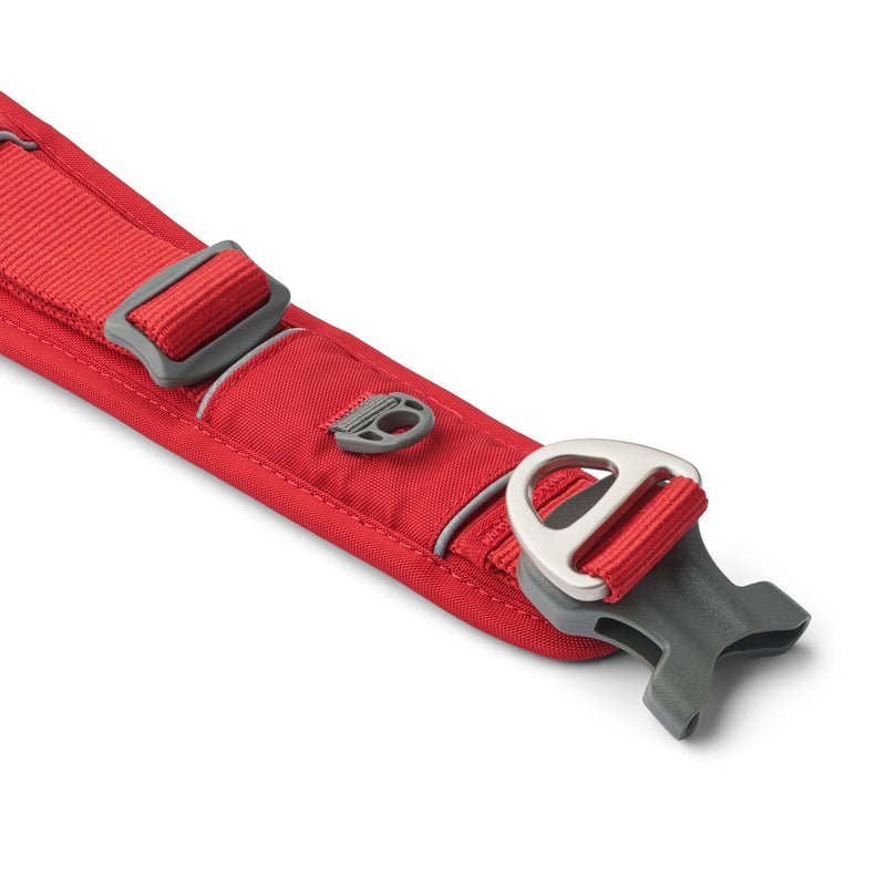DOG Copenhagen Urban Explorer 3.0 Collar, Classic Red, Medium M - PawsPlanet Australia