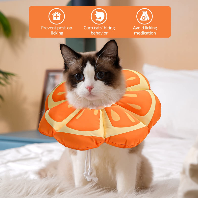 Avont Cat Recovery Suit Bundle with Cat Cone Collar Soft - PawsPlanet Australia