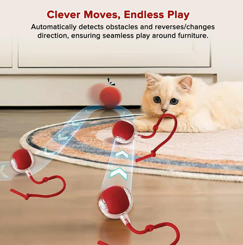 Interactive Cat Toys for Indoor Cats, Motion Activated Cat Ball with 3 Speeds, 2 Replaceable Tails, Safe Material Kitten Toys, USB Charging, 360° Smart Rolling Ball for Bored Adult Cats and Dogs - PawsPlanet Australia