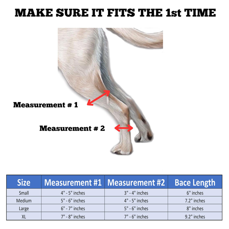 Doggie Stylz Dog Leg Braces for Back Leg Adjustable Dog Hock Brace for ACL Tear Recovery Arthritis Mobility Support Premium Leg Brace for Dogs Back Leg Dog Knee Braces for Back Leg Comfort Stability Medium - PawsPlanet Australia