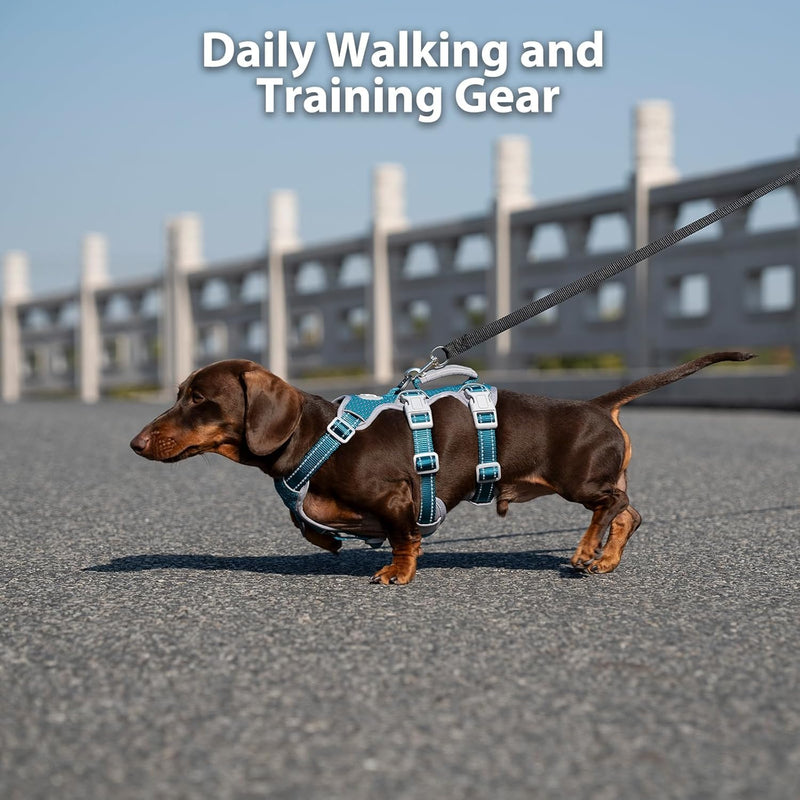 Huntboo Escape Proof Dog Harness, Secure Dog Harness No Escape, Fully Reflective Harnesses with Handle, Breathable, Durable, Adjustable Vest for Small Dogs Walking, Training & Running Gear(Teal,XS) X-Small(Pack of 1) Blue - PawsPlanet Australia