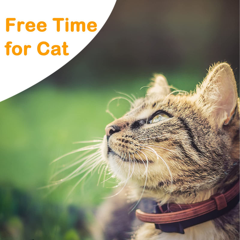 Extra Long Cat Leash for Yard, Lightweight Outdoor Cat Leash Long Light Extension, Long Thin Lead for Rabbits, Kitten, Puppy and Small Animals (4.5M/ 15FT) 4.5M/15FT - PawsPlanet Australia