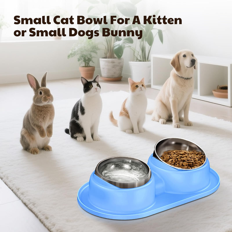 Cat Bowls 2 Stainless Steel Bowl for Pet Dog Water and Food Feeder with Non Spill Skid Resistant Silicone Mat,Tilted Bowls Elevated Anti Vomiting, Non-Slip Base, Ant Proof Food & Water.Blue Blue
