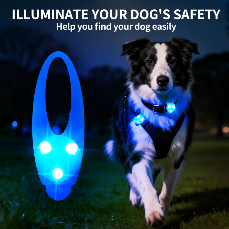 LaRoo LED Dog Collar Light - Waterproof Clip-On 3 Modes, High Visibility for Night Walking/Camping, Pet Safety Light for Small/Medium/Large Dogs (Blue) Blue-A - PawsPlanet Australia