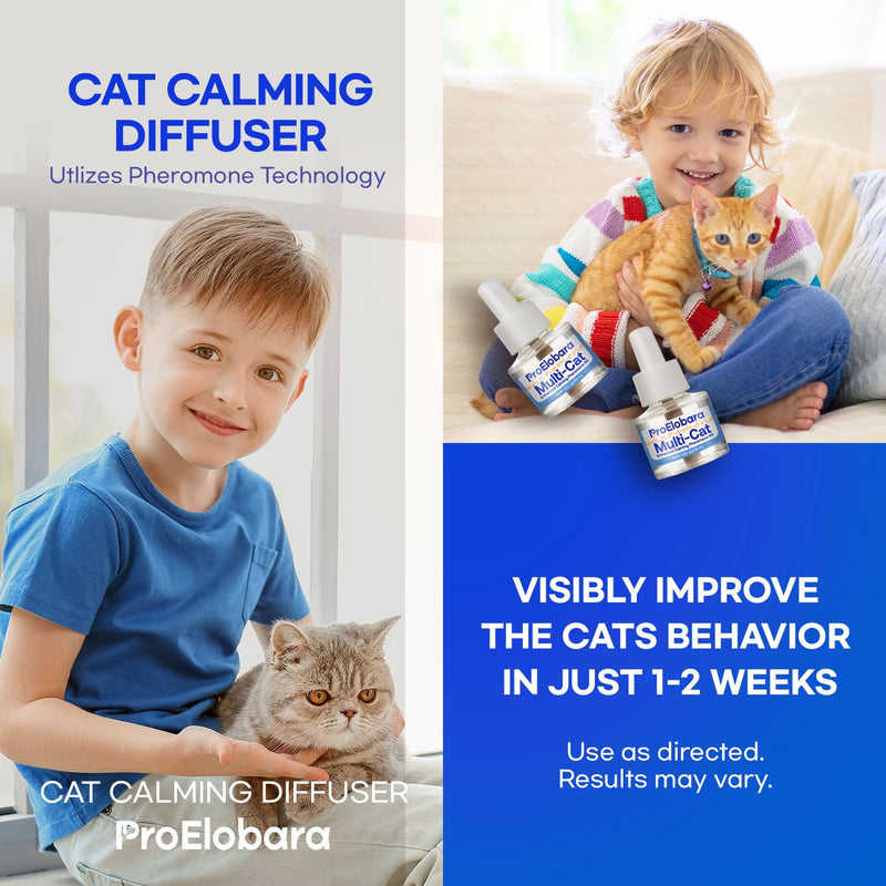 Cat Calming Pheromone Plug Diffuser: Enhanced Multicat Calming Pheromones Diffusers - Multi Cat Calm Anti Anxiety Pheromone Diffuser for Cats Stress Relief - Cats Calm Diffusers 1 Pack/60 Day Supply - PawsPlanet Australia