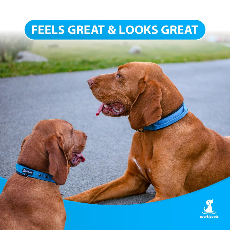 SparklyPets Heavy Duty Dog Collar with Handle for Medium and Large Dogs – Professional Collar with Reflective Stitches, Soft Handle & Nickel-Plated Buckle (Large (18"~22"), Blue) Large (18"~22") - PawsPlanet Australia
