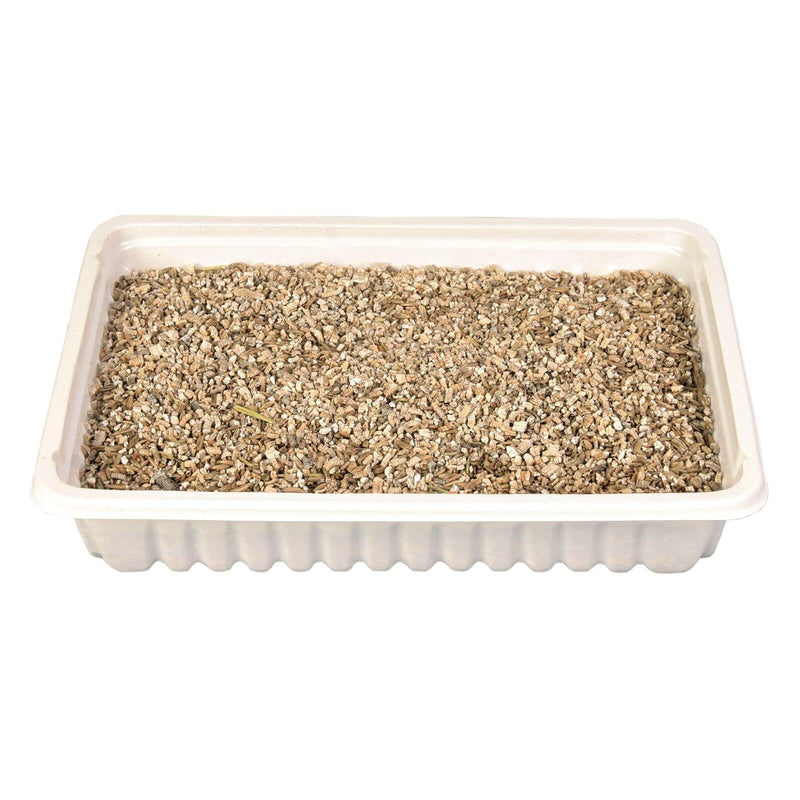 Trixie TX 4235 Cat Grass bowl 130gr