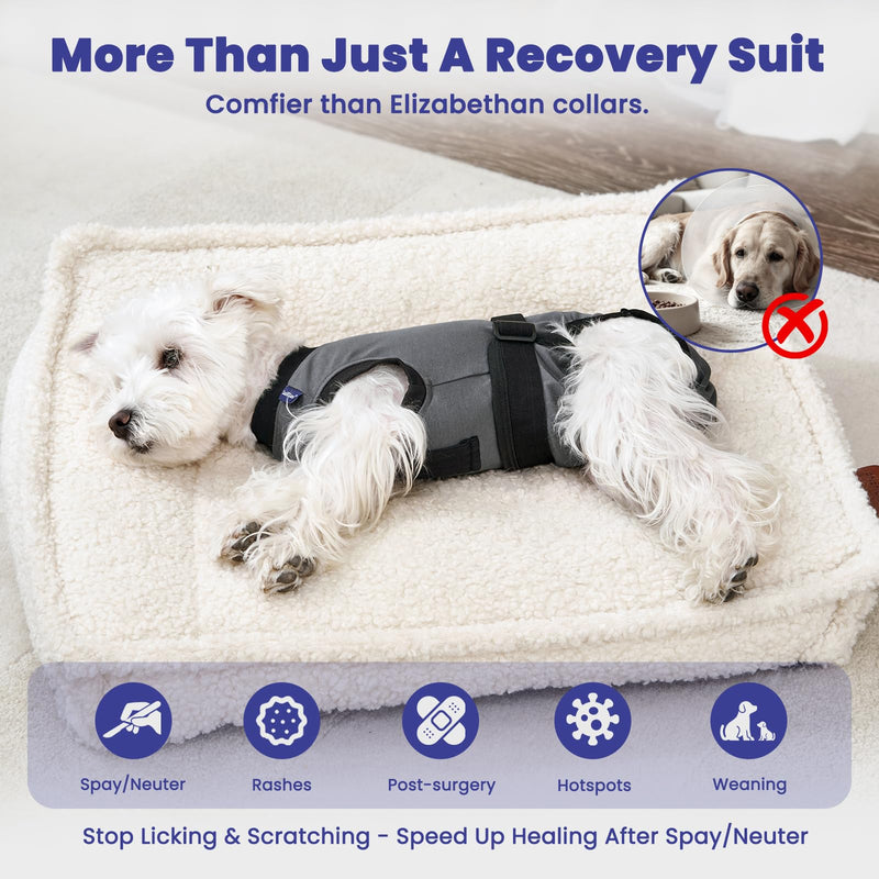 Dog Surgery Recovery Suit, Spay/Neuter Surgical Onesies with Inner Blue Monitoring Layer for Male Female Dogs, Hold-Up Potty System, E-Collar Alternative (Grey, Small) Grey