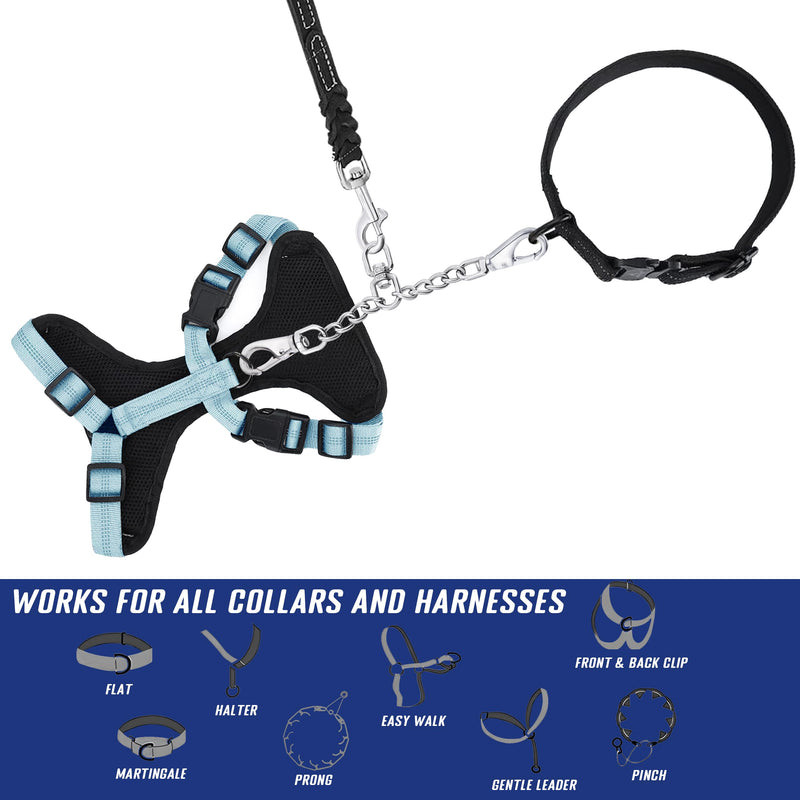 Leash Backup with Dual Clasps Prong Collar Safety Clip Stainless Steel Dog Safety Clip Collars and No Pull Harness Connectors - PawsPlanet Australia