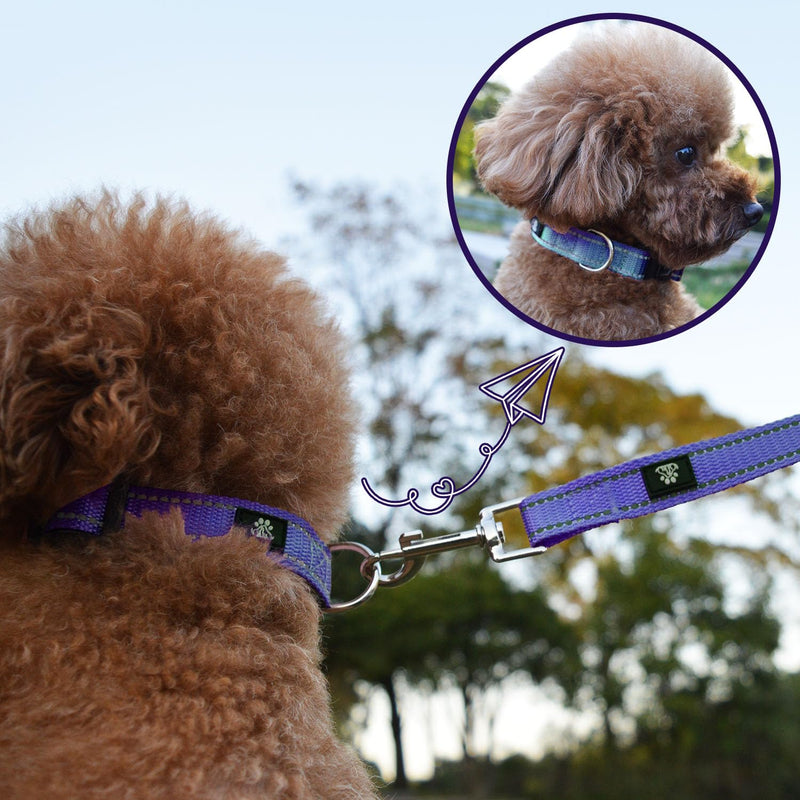 NESTROAD Reflective Dog Collar and Leash Set,Soft Neoprene Pet Collar with Quick Release Buckle,Adjustable Nylon Dog Collars for Small Medium Large Dogs(Small Collar + 5FT Leash,Purple) Small(10-15" Length,3/4" Width) Purple