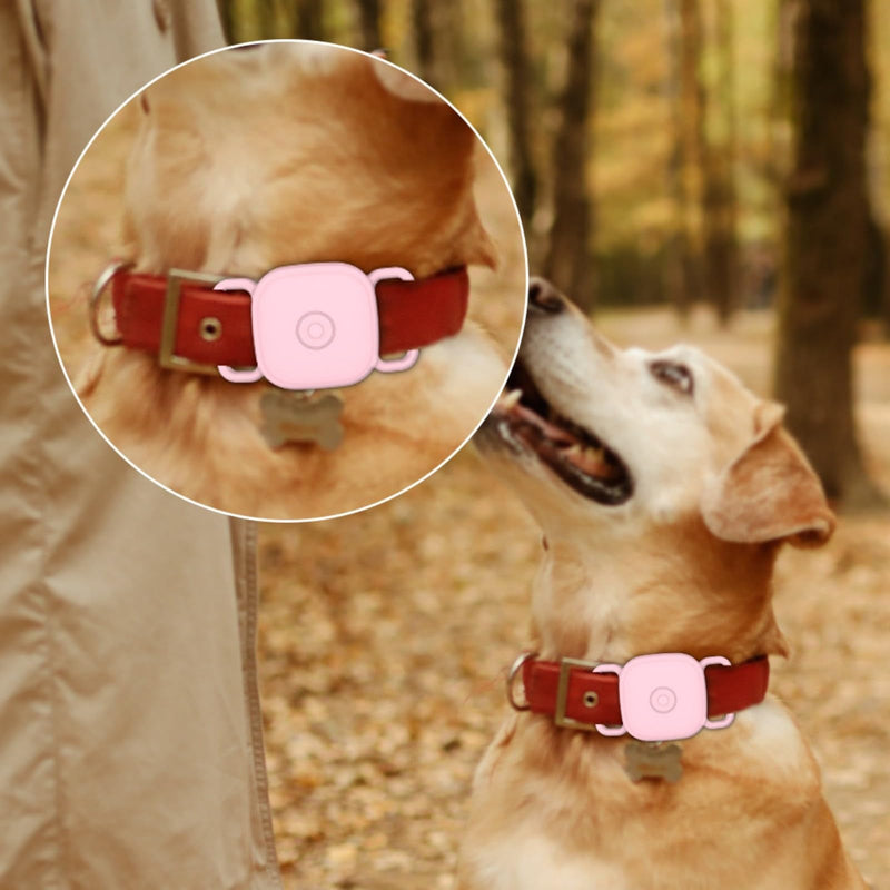 Protective Dog Collar for Tiles by Life360 Soft Flexible Silicone Track Scratch-Resistant Covers