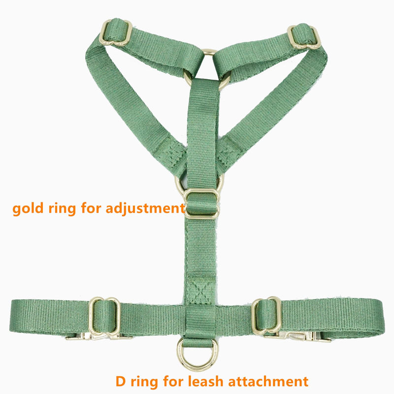 Nylon No Pull Dog Harness with Gold Metal Buckles,Easy Walking and Training Dog Harness (Sage Green, L) Sage green - PawsPlanet Australia