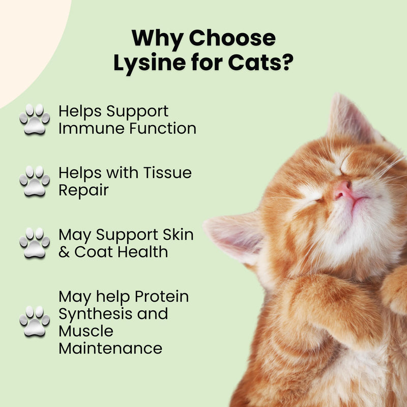 Lysine for Cats - L-Lysine for Cats - May Help with Respiratory Health, Sneezing, Runny Nose & More - Cat Cold Relief - Cat Sneezing Treatment - 1 fl oz