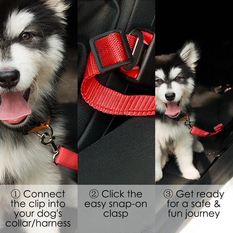 4 Pack Adjustable Pet Dog Cat Seat Belt, YuCool Safety Leads Vehicle Car Harness Seat Tether,Nylon Fabric- Black,Blue, Red, Purple - PawsPlanet Australia