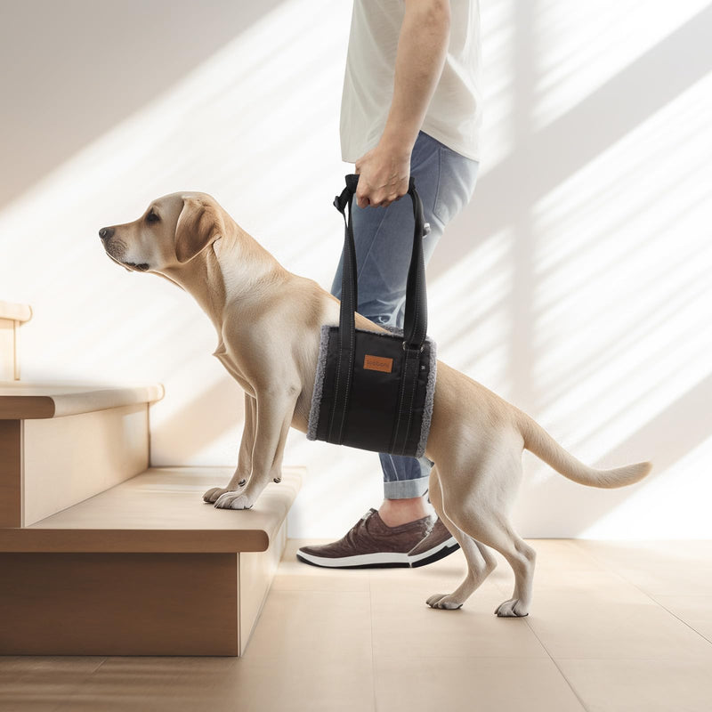 LOOBANI Portable Dog Sling for Back Legs, Hip Support Harness to Help Lift Dogs Rear for Canine Aid and Old K9 Cruciate Ligament Rehabilitation Large-grey - PawsPlanet Australia