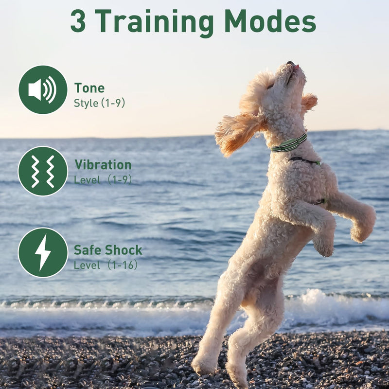 Dog Training Shock Collar with Remote 3300ft Range - Waterproof Shock Collar for 10-110lbs Dogs, Rechargeable E Collar for Dogs Training, Safety Shock Collar(0-16) - PawsPlanet Australia