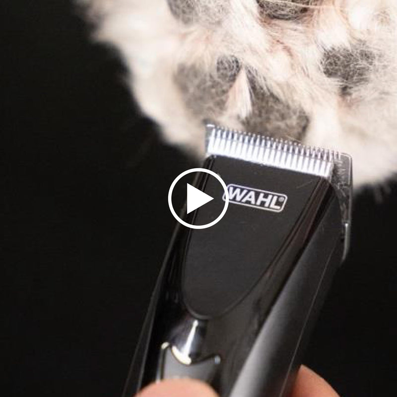 Wahl Stainless Steel Combs in Container Fits Prime & Competition Blade - PawsPlanet Australia