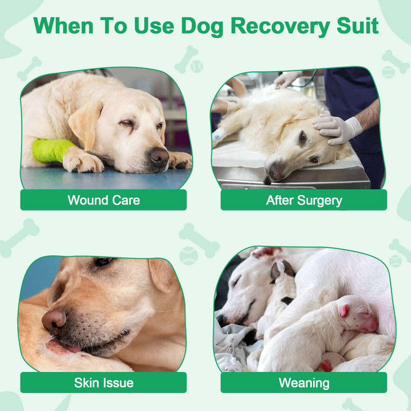 Dog Surgery Suit Female Spay Recovery Suit for Dogs, Dog Onesie Body Suits for Surgery Male Neuter, Breathable Dog Surgical Recovery Suit to Stop Licking Dog Cone Alternative for Dogs Puppy M - PawsPlanet Australia