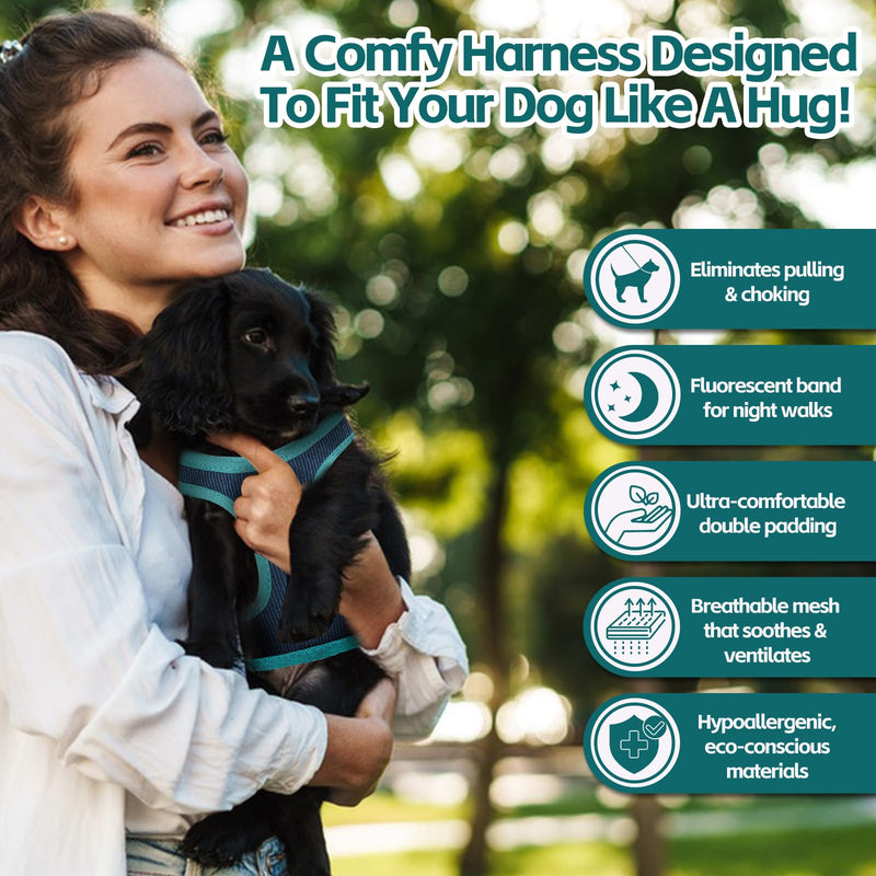 Dog Harness with Multifunction Dog Leash,No Pull Reflective Step-in Harness for Soft Adjustable No Choke Escape Proof,Easy Walk Dog Harness for Puppy,Small Dogs (Blue&Green, XXS) XX-Small Blue&Green - PawsPlanet Australia