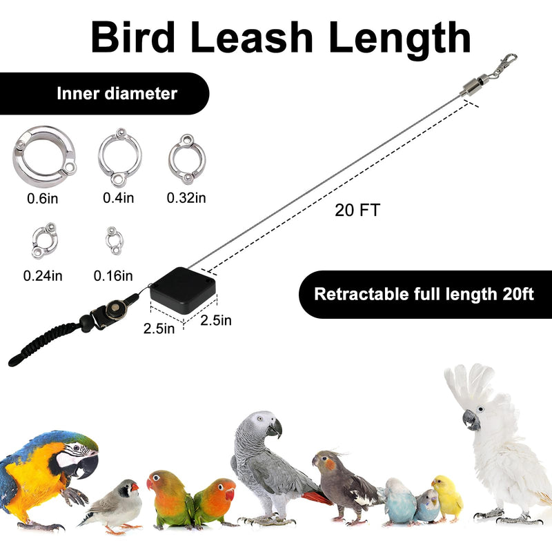 Retractable Bird Leash,Parrot Flying Rope,Anti-Bite Wire Rope Parrot Leash,Adjustable Bird Leash Harness for Training,with 5pcs Alloy Foot Rings,for Budgies,Cockatiels,Crested Cockatoo,Macaws,20ft - PawsPlanet Australia