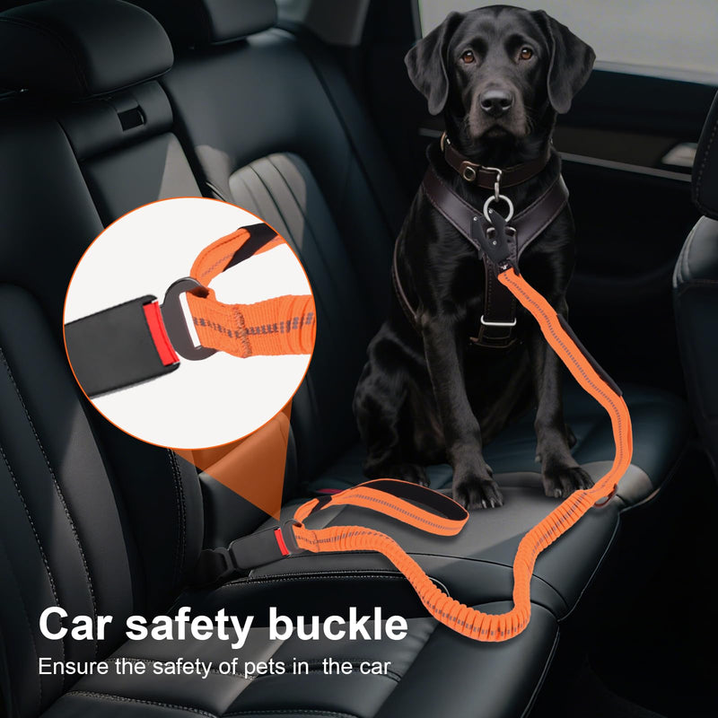 Heavy Duty Dog Leash, 4-6 Ft Shock Absorbing with Heavy-Duty Seatbelt Buckle & Dual Handles - No Bungee, for Medium to Large Dogs (Black) BLACK - PawsPlanet Australia