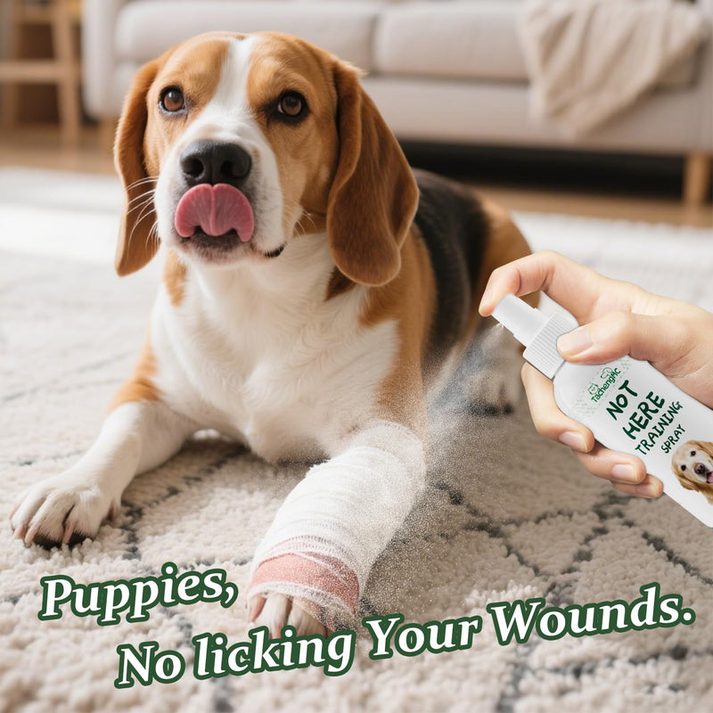 No Chew Spray for Dogs, Bitter Apple Deterrent to Stop Chewing, Licking and Biting on Furniture, Shoes and Plants, Alcohol Free Puppy Training Aid for Indoor and Outdoor Use, 2 Pack 100 ml - PawsPlanet Australia