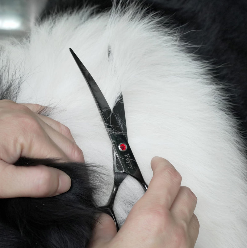 Dog Grooming Scissors Kit, Fcysy Professional Pet Hair Cutting Shears Set with Curved & Straight Blades Scissors Thinning Shears– Stainless Steel Grooming Tools for Dogs & Cats at Home 8pcsblack - PawsPlanet Australia