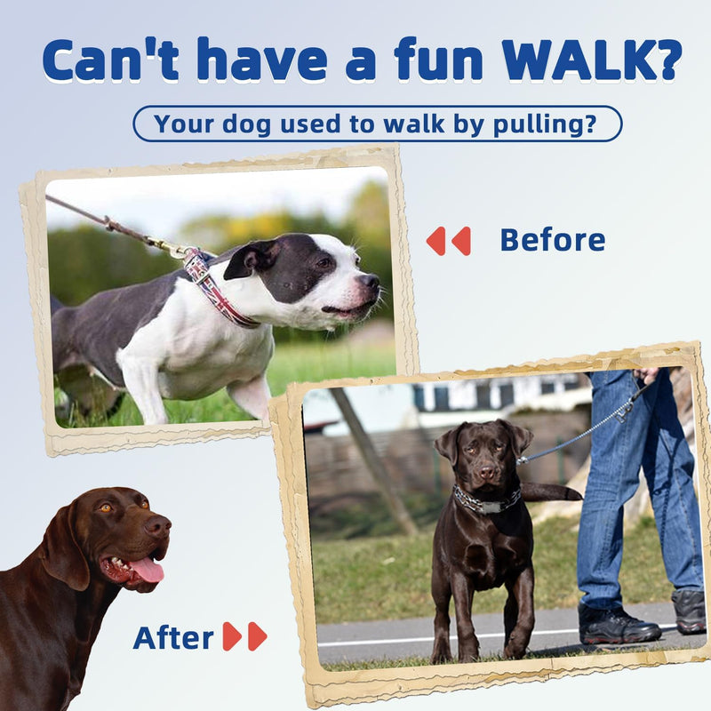 Dog Collar with Quick Release Buckle Dog (XL (Neck: 22"-26'')) XL (Neck: 22"-26'') - PawsPlanet Australia