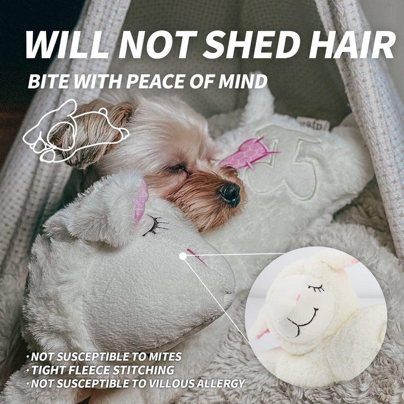 ALL FOR PAWS Heartbeat Dog Toy for Puppy - Dog Anxiety Relief & Behavioral Training | Puppy Heartbeat Stuffed Animal Plush Toy | Perfect for Dog Sleep Aid Beige Sheep - PawsPlanet Australia