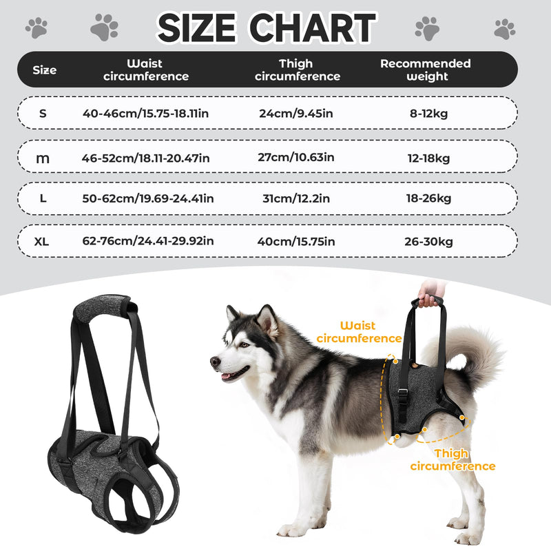 Dog Lifting Harness for Back Legs, Walking Assistance Rehabilitation Harness with Padded Handle Adjustable Support Sling Hind Leg Brace, Mobility Aid for Injured, Disabled, Elderly Dogs M