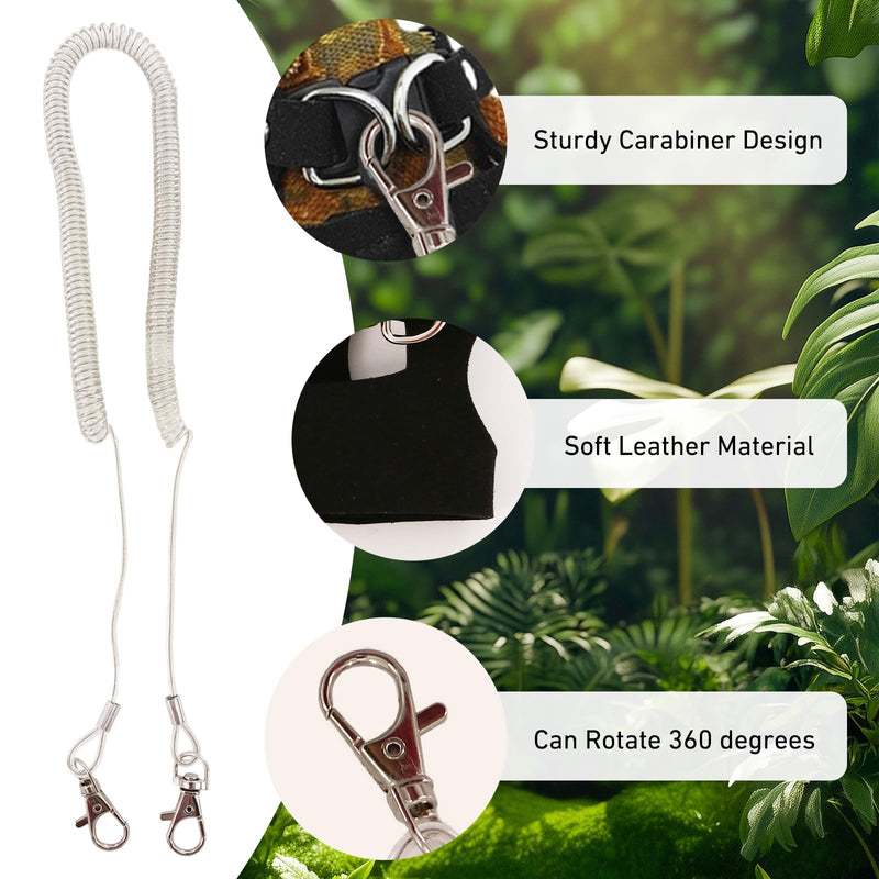 Bearded Dragon Leash and Harness Set, 3 Size Adjustable Soft Leather Lizard Leash Training Walking Prevent Escape, Spring Can be Stretched to 3m, for Iguana Squirrels Small Reptiles Outdoors (Black) - PawsPlanet Australia