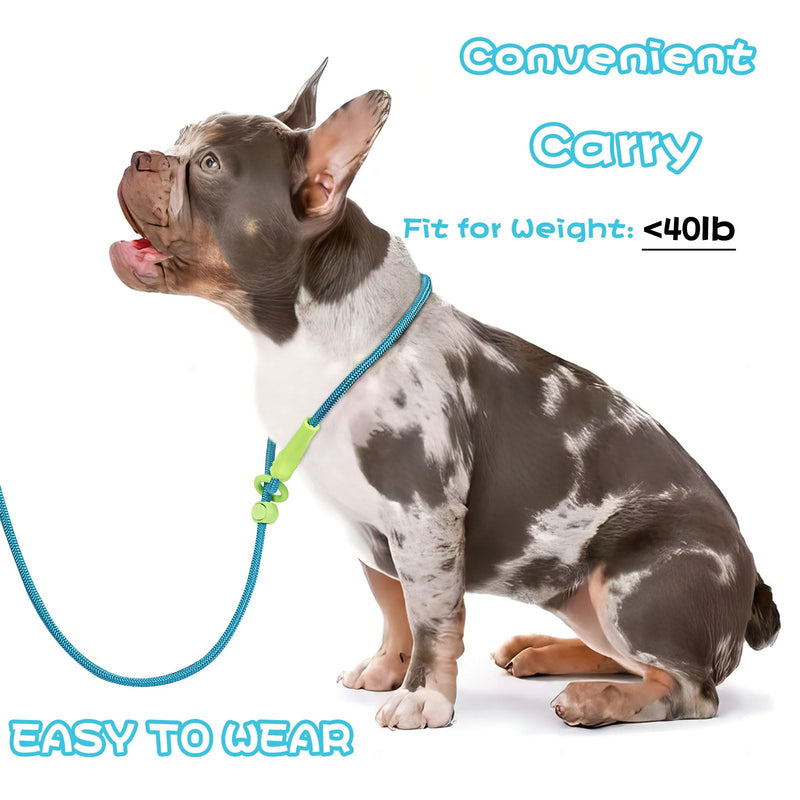 Small Medium Large Dog Training Slip Lead Leash 6Ft No Pull Puppy Leash 8 Colors Classic Dog Rope (Blue) one size blue - PawsPlanet Australia