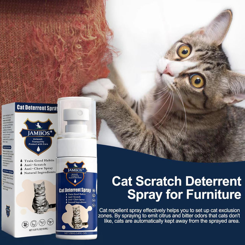 Cat Deterrent Spray - Safe Indoor & Outdoor Deterrent for Furniture Protection, Effective Training Aid with Natural Ingredients - Non-Toxic Anti-Scratch Formula (Blue, M) Blue - PawsPlanet Australia