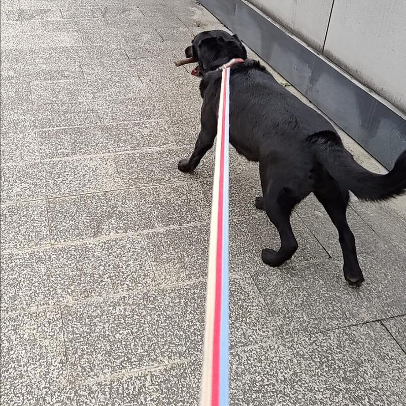 10FT / 15FT / 20FT Anti-Choke Slip Lead Dog Leash, 1” Wide Soft Thick Long Training Leash for Strong Small Medium Large Dogs (red-20ft) 1'' x 20 FT red - PawsPlanet Australia
