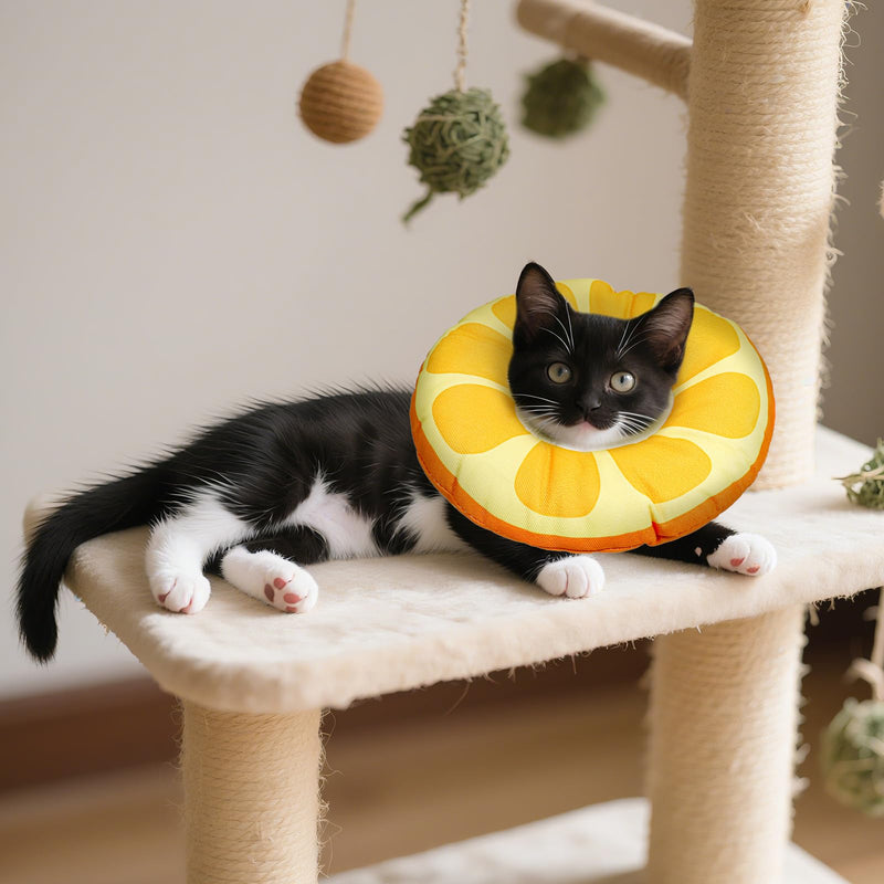 COMNICO Kitten Cones After Surgerys Small Waterproof Cones Collar Small Cats Donut Soft to Stop Licking Neck Elizabethan e Collar for Recovery (S Size Orange