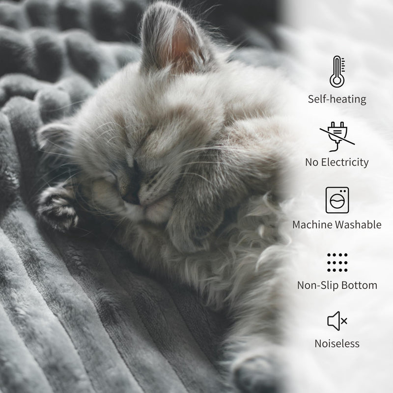 NWK Pack of 4 Fluffy Self Warming Cat Mat, Cat Blanket, Thermal Dog Mat, Washable, Non-Slip Bottom for Sofa & Crate & Kennel & Car Seat (Misty Gray, Small (19'' X 15'' X 0.7'')) Misty Gray Small (19'' X 15'' X 0.7'') - PawsPlanet Australia