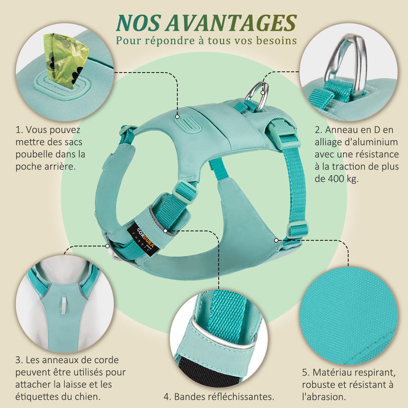 Adjustable Dog Harness Comfortable Vest in Durable Nylon with Strong Buckles, Ideal for Walking, Training, Travel, Outdoor, Small Medium Large Dogs, Green, L Lake green - PawsPlanet Australia